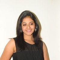 Anjali at Journey Audio Launch Pictures | Picture 127229